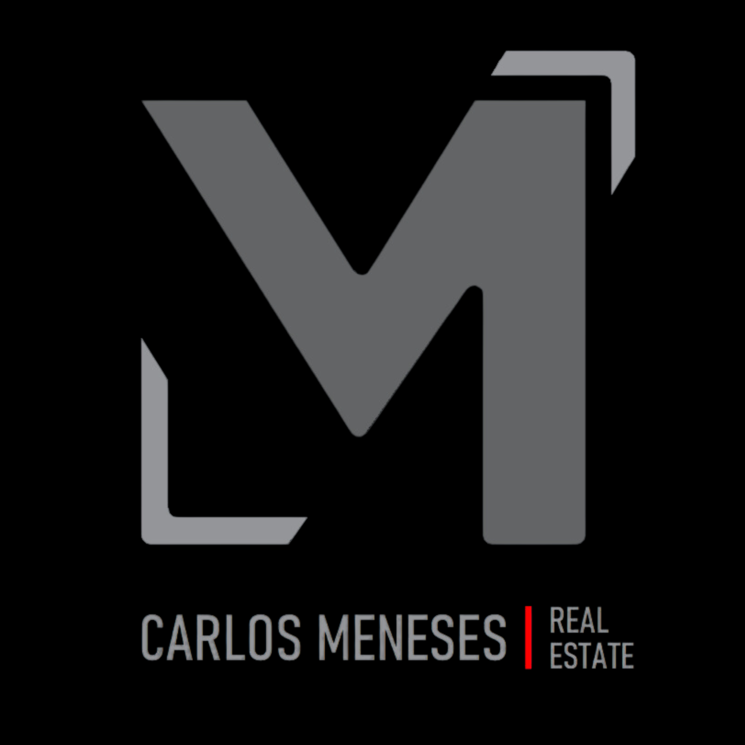 Logo Carlos Meneses Real Estate 01