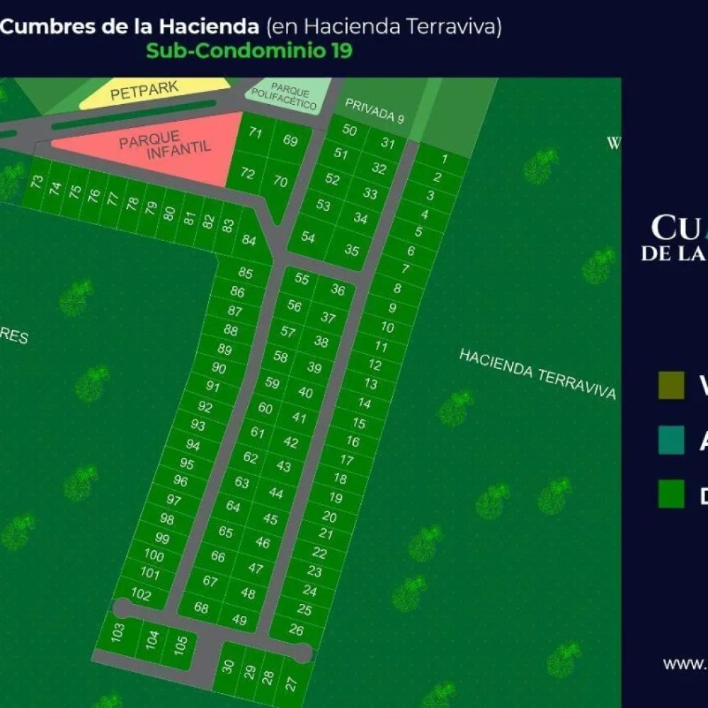 Layout