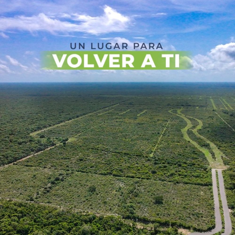 panoramica